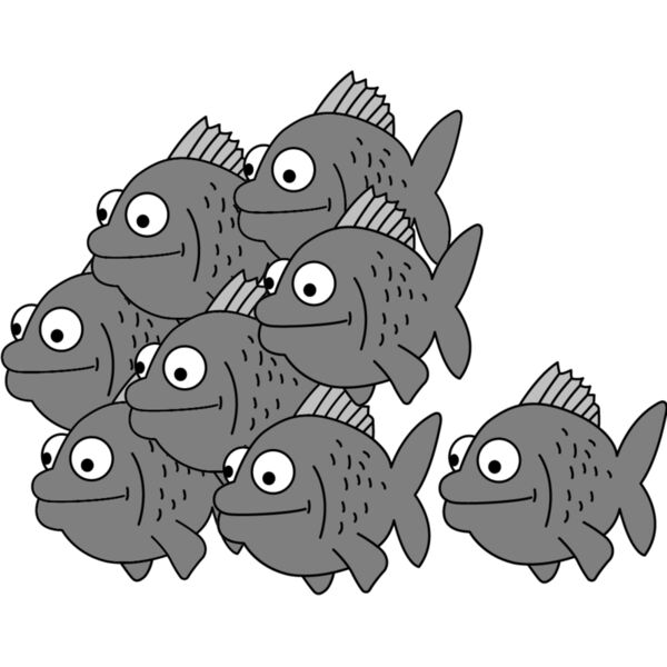 Fish Group Thumbnail
