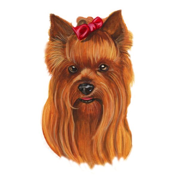 Yorkshire Terrier Thumbnail