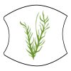 Blue Line Flag - Non-Medical Face Mask Thumbnail