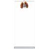 Premium Quality Retractable Banner Stand - 33 in x 80 in, Padded Carry Case Thumbnail