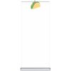 Premium Quality Retractable Banner Stand - 33 in x 80 in, Padded Carry Case Thumbnail