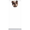 Standard High Quality Retractable Banner Stand - 31.5 in x 78 in, Includes Carry Case Thumbnail