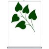 Table Top - Counter Top Retractable Banner Stand  Thumbnail