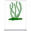 Table Top - Counter Top Retractable Banner Stand  Thumbnail