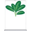 Table Top - Counter Top Retractable Banner Stand  Thumbnail