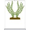Table Top - Counter Top Retractable Banner Stand  Thumbnail