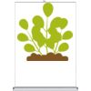 Table Top - Counter Top Retractable Banner Stand  Thumbnail