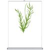 Table Top - Counter Top Retractable Banner Stand  Thumbnail